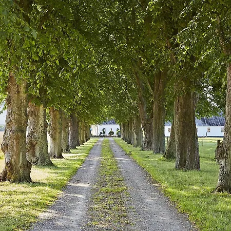 Alokke 3* Nyborg