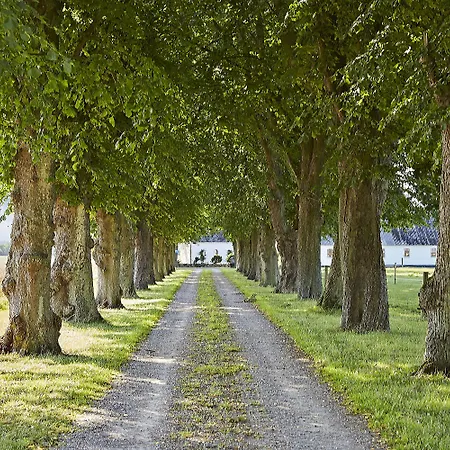 Alokke Alojamento de Acomodação e Pequeno-almoço
