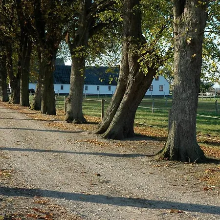 Alokke 3* Nyborg