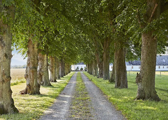 Alokke Alojamento de Acomodação e Pequeno-almoço